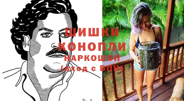 ГАЛЛЮЦИНОГЕННЫЕ ГРИБЫ Волосово