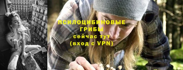 ГАЛЛЮЦИНОГЕННЫЕ ГРИБЫ Волосово